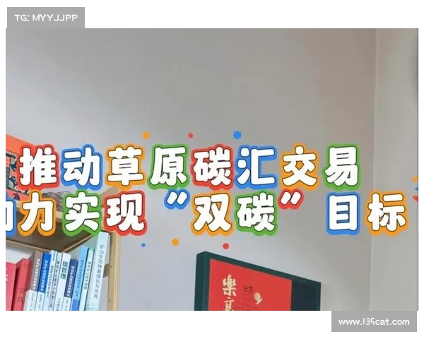 以加速发展为核心推动力推动项目快速落地实现高效目标执行