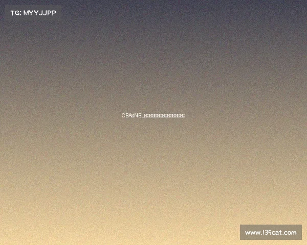 CBA与NBL联动合作展现篮球国际化发展新机遇