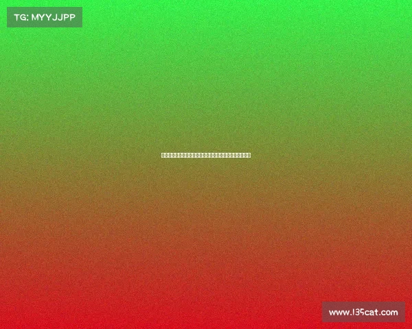 足球球员转会手续办理流程与注意事项解析及关键细节指导