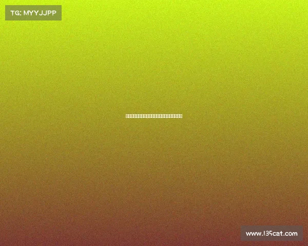 足球俱乐部引援资金使用方案分析与优化策略探讨