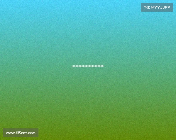 足球球员转会流程管理与优化策略研究及实施方案